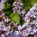 이민경 행정사 사무소 이미지