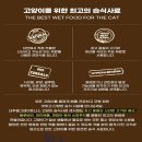(주)피앤비 인터내셔널 | 내추럴그레이트니스 고양이 주식캔 3종 리뉴얼 기념 이벤트에 당첨되어 후기작성하겠습니다