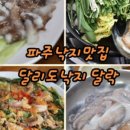 달락달리도낙지 이미지