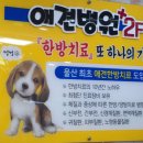 엔젤독스애견 이미지