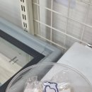 달시아이스크림세계과자 네이버블로그