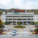 동일청과 이미지