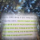 보통의우리 | 아주 보통의 행복 책 | 최인철 책 후기 | 당신의 전성기는 이제 시작입니다 추천 리뷰 핵심 요약