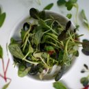 일호농장 이미지