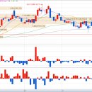 대림전기공업(주) 이미지