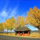 경주산림환경연구원 이미지