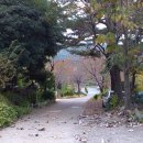 희락원 Daum카페