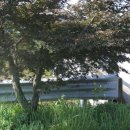 주천면 행정마을 이미지