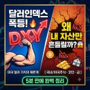 영란무역 | 달러인덱스가 오르면 왜 내 자산이 흔들릴까?
