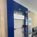 반도약국 | [신혼여행] 탄자니아 여행 준비 | 울산 북구 보건소 장티푸스 예방접종 및 말라리아 약 후기