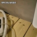 힐링캠프 | 태백에서 만나는 자연 속 완벽 힐링, 태백구문소힐링캠프 솔직 후기 🌲✨