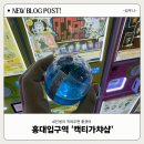 캑티가챠샵(CACTI GACHA SHOP) | [홍대입구역] 동생의 감으로 돌린 결과ㅋㅋ 홍대 캑티가챠샵 후기