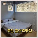 용추계곡 다리건너 공용 이동식화장실 | [충남/금산] 국립 금산 자연휴양림 연립동 &#39;낙조대&#39; 이용후기(25.11월)