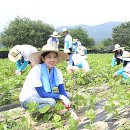 의료법인 양평의료재단 이미지