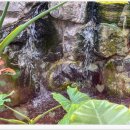 만섬 | 내포 정갈한 한정식 맛집 만섬 다녀온후기