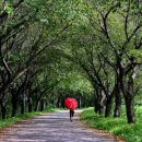 비비정예술열차 이미지