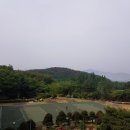 여행]코오롱호텔조식-석굴암-불국사-환여횟집환호점-죽도시장-시민제과-명승원만두-발리오레펜션-호미곶