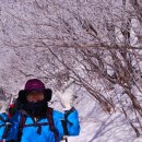 아카12기 13차 소백산 정기 산행-눈 꽃 터널 여행 이미지