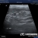 스마트동물병원군자점 이미지
