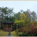 송림농원 이미지