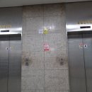 금성프라자 이미지
