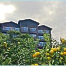 남매펜션 이미지