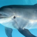 유유(UU)식당 이미지