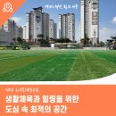옥녀봉체육시설 축구장 | 대전 옥녀봉체육공원, 생활체육과 힐링을 위한 도심 속 최적의 공간