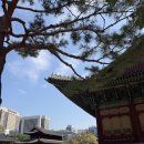 치킨마루(삼양사거리점) | 삼양역 헬스장 PT짐코사트 물리치료사 출신 트레이너님의 꼼꼼티칭 재활피티 잘 하는 곳 찾는다면