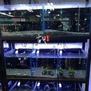 오천수족관 이미지