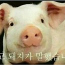 B&B(143) 네이버블로그