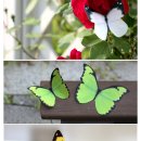 울림디자인 이미지