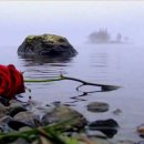 솔밭사이로 이미지