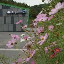 무인텔애플 이미지