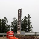 스피드메이트 제주서귀포점 | [제주도여행] 제주에서 만날 수 있는 체험, 카트도 타고 런닝맨촬영지 메이즈랜드에서 미로체험도 하고