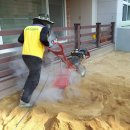 왕선초등학교병설 이미지