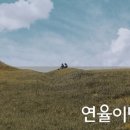 메디드리머 이미지