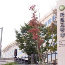 홍제동-6 이미지