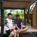 산골복숭아농장 이미지