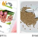 김정규자연건강 이미지