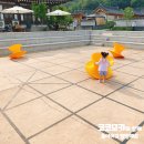 다인숲공방 이미지