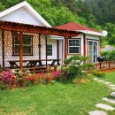 비피펜션 이미지