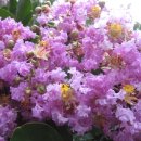 장제로156번길 이미지