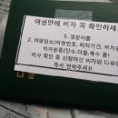 연슈의 상하이 여행 _준비