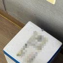 모아마트 산내점 | 25년 제철 활새우 내돈내산 택배 구매 후기 통수산 새우회 까는법 손질법