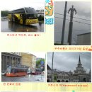 수보약국 | 러시아 여행후기-7 모스크바 →상트 페테르부르크-마르스광장