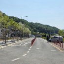 5월, 안성 금광호수 수석정 수변원 유채꽃에 반한 후기