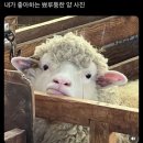 세븐복싱 | 이공이오칠칠럭키세븐✨