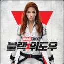블랙위도우 이미지