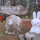숲 펜션&캠핌장 이미지